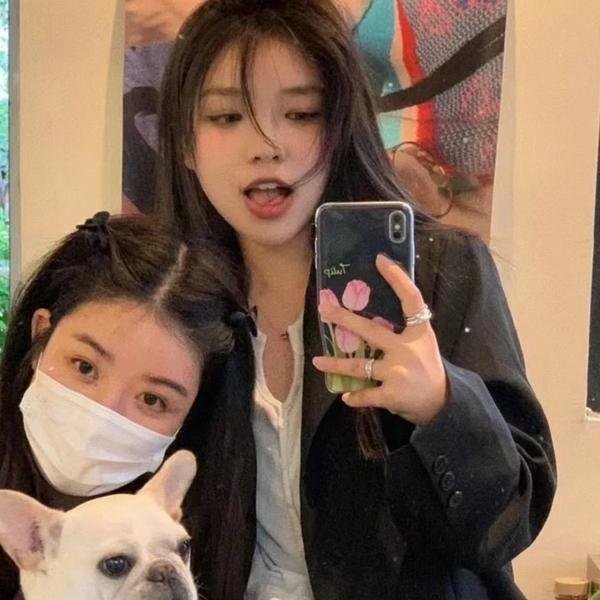 爱犬情深